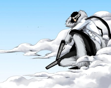 Койот старк блич