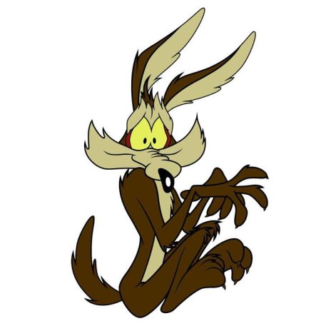 Road runner wile e coyote
