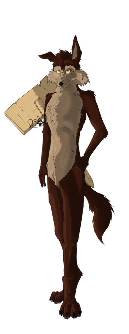 Койот аниме