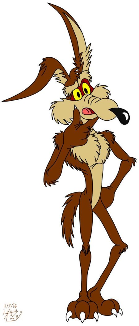 Койот из луни тюнз