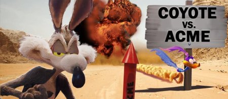 Coyote vs acme