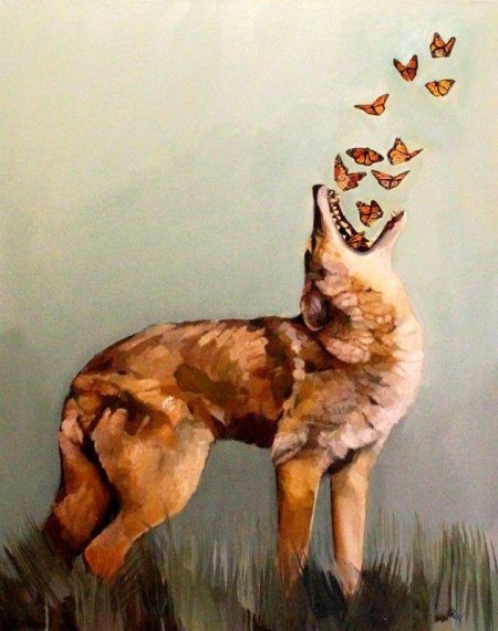 Койот животное