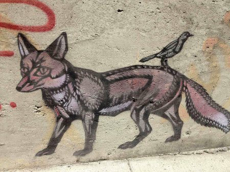 Трикстер лис индейцы