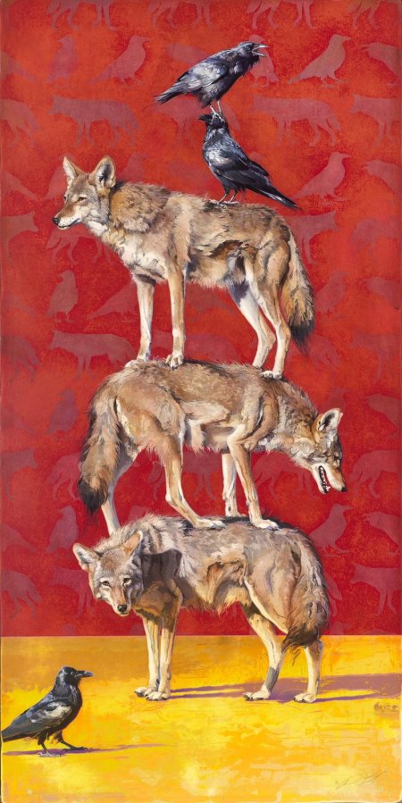 Койот трикстер