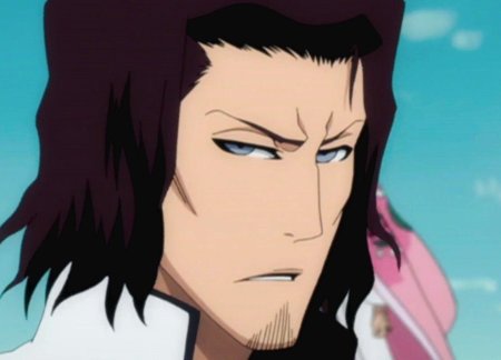 Койот старк блич