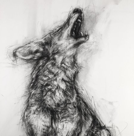 Волк карандашом