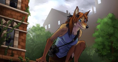 Койот арт фурри