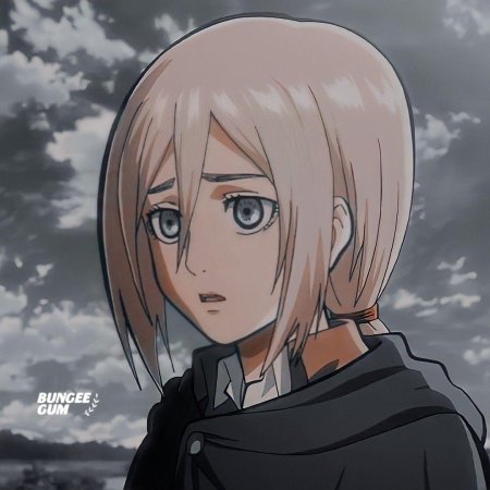 Хистория рейсс