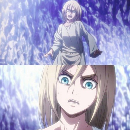 Хистория рейсс