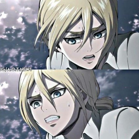 Хистория рейсс