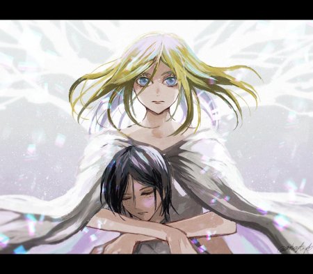 Хистория рейсс и имир