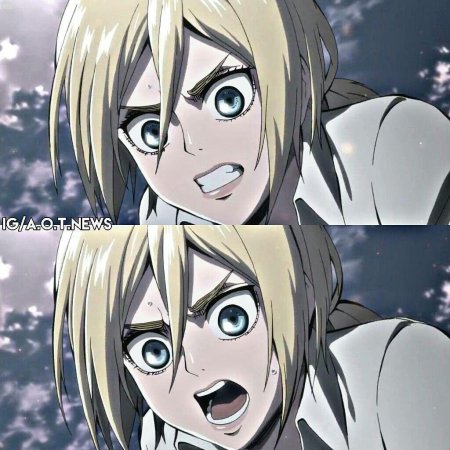 Хистория рейсс