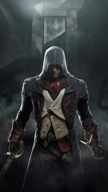 Игра assassins creed unity