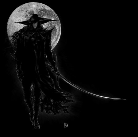 Vampire hunter d