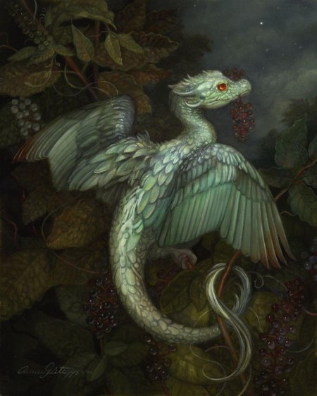 Художница энни стегг джерард (annie stegg gerard) драконы