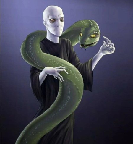 Нагайна гарри поттер