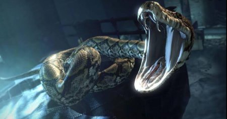 Гарри поттер нагайна