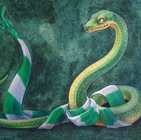 Гарри поттер слизерин змея