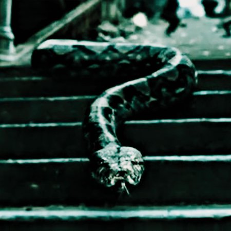 Нагайна фантастические твари