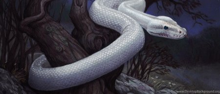 Белая змея 2001