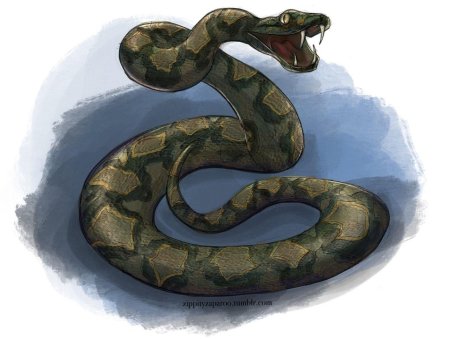 Змея на прозрачном фоне