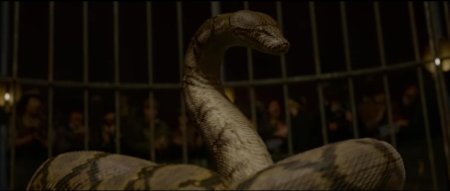 Нагайна змея