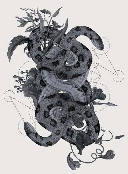 Змея в графике