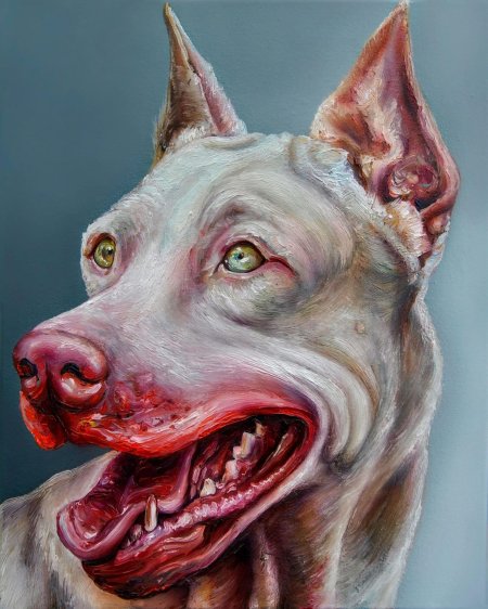 Доберман пинчер альбинос