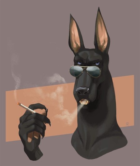 Собака доберман