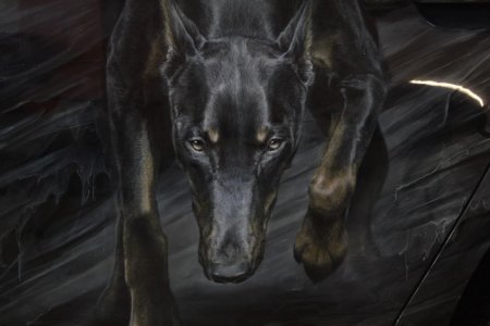 Картины по номерам доберман