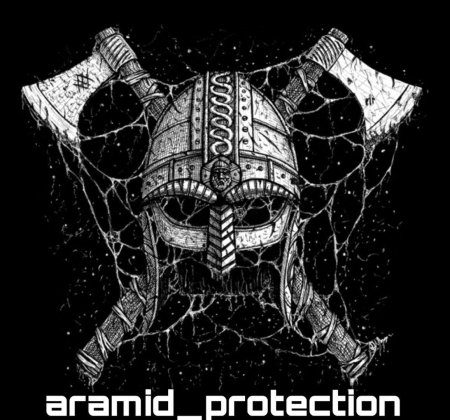 Череп в шлеме викинга