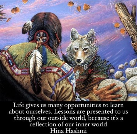 Волк индеец