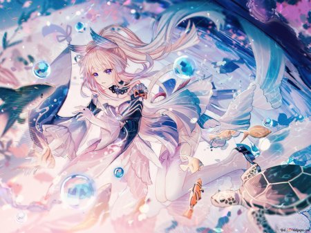 Кокоми геншин