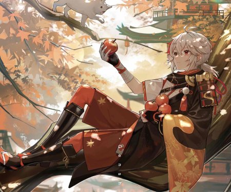 Геншин кадзуха