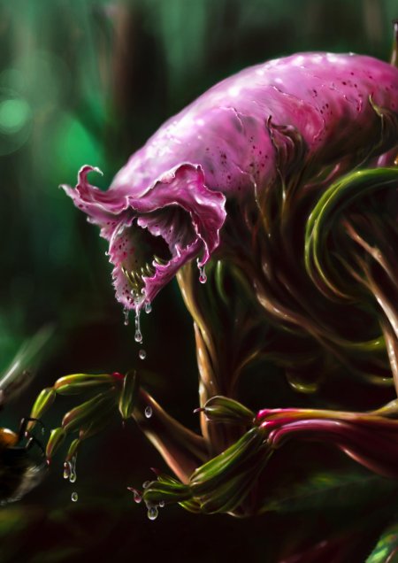 Хищное растение чародейка