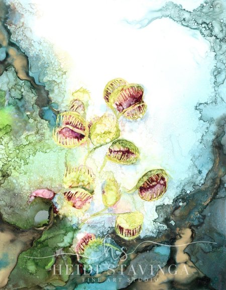 Монотипия мак