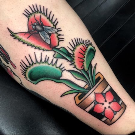 Венерина мухоловка тату