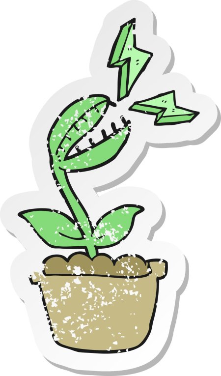 Венерина мухоловка раскраска для детей