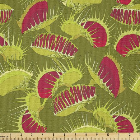 Хищное растение мухоловка