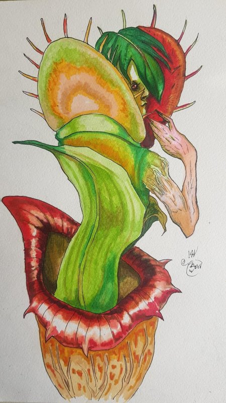 Венерина мухоловка монстр