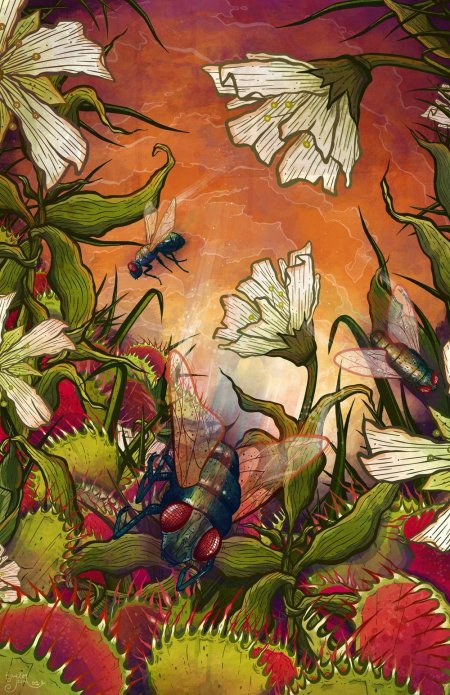 Венерина мухоловка