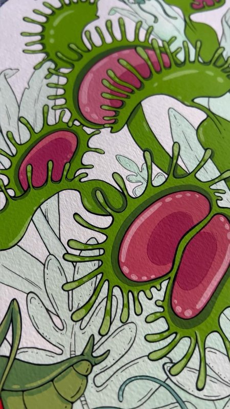 Венерина мухоловка