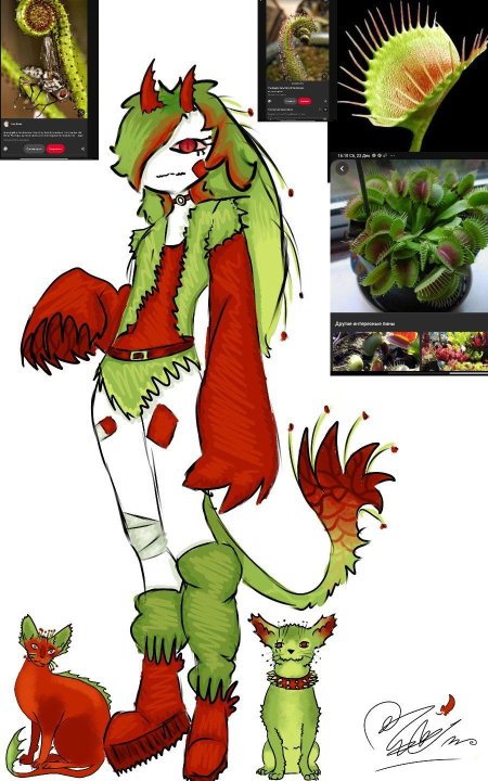 Венерина мухоловка