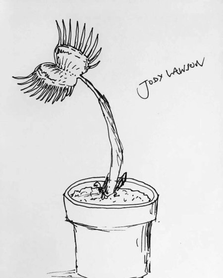 Венерина мухоловка рисунок карандашом легко