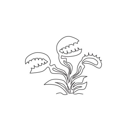 Венерина мухоловка раскраска