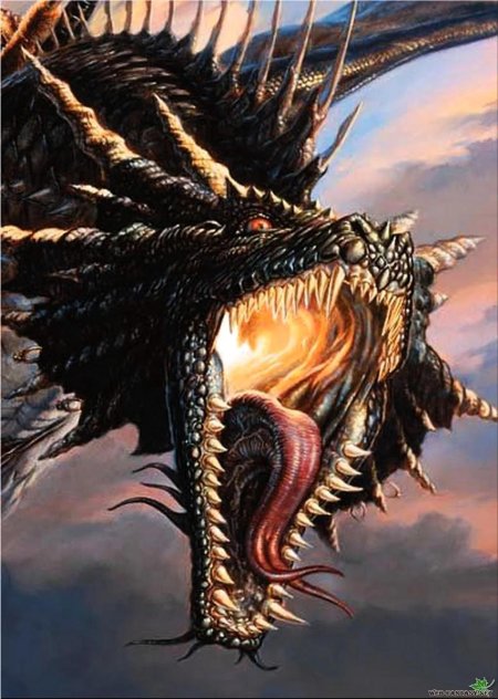 Морда дракона