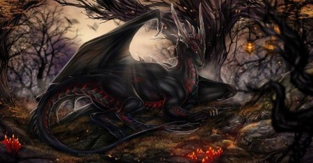 Гебридский черный дракон гарри