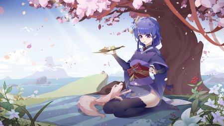 Райден и мико кицунэ