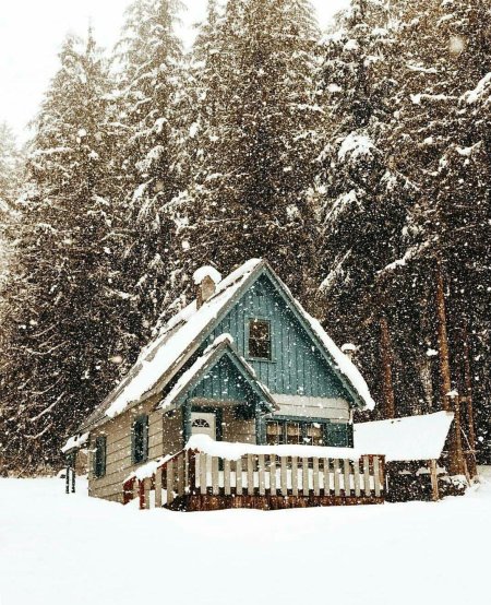 Домик в зимнем лесу