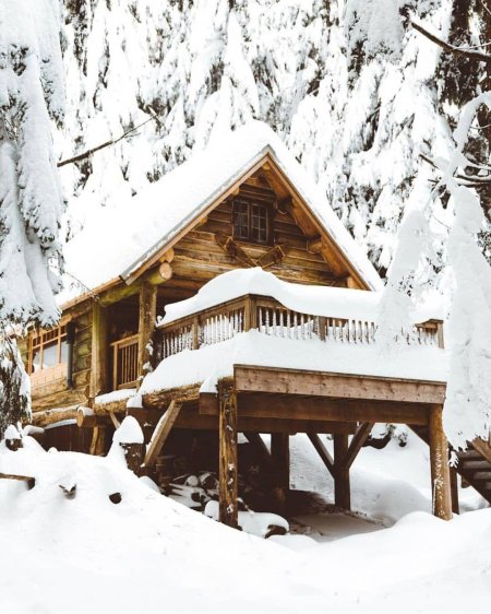 Дом в зимнем лесу
